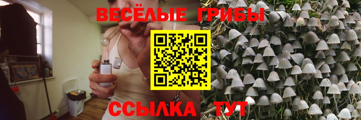 Псилоцибиновые грибы мухоморы  Вход с VPN  Нижний Тагил 